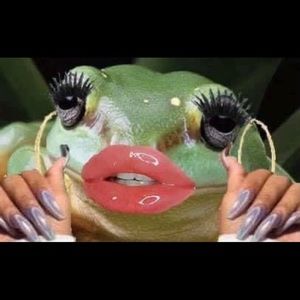 Meet your Posher, Cassidy